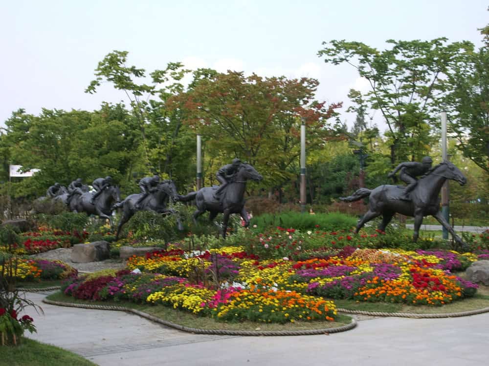 Seoul Forest 서울숲